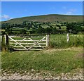 SO3228 : Field gate with a hillside view, Longtown by Jaggery