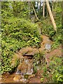 SO7583 : Waterfall in the Hall Close Coppice by Mat Fascione