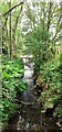 NY7614 : Lowgill Beck west from road bridge SW of Thunderstones by Luke Shaw