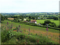 ST3903 : Primrose Cottage from Blackdown Hill by Vieve Forward