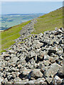 NT9229 : Tumbled stone rampart of the Iron Age fort by Mick Garratt