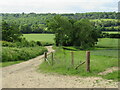 TQ1248 : Public bridleway near Dorking by Malc McDonald