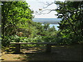 SZ0187 : Bench on Brownsea Island by Malc McDonald