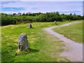 NH7444 : Graves of the Clans, Culloden Battlefield by David Dixon