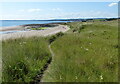 NO4402 : Beach and dunes at Largo Bay by Mat Fascione