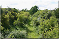 TL0596 : Course of dismantled railway west of Nassington by David Kemp