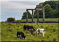 N5676 : Loughcrew Gardens, Co. Meath - Loughcrew House portico by Mike Searle