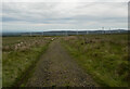 C7310 : Track, Benbradagh by Rossographer