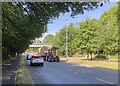 TL4758 : On Barnwell Road in the heatwave of July 2022 by John Sutton