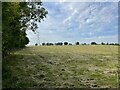 SP6076 : Hayfield with pylon by Philip Jeffrey