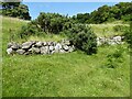 NS0953 : Bute - St Blane's - Vallum (south) by Rob Farrow