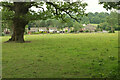 ST5578 : Tree in field by Moorgrove Wood by Derek Harper