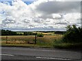 NZ1361 : Countryside view from Lead Road by Robert Graham