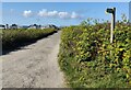 SH2884 : Wales Coast Path at Porth Tywyn-mawr by Mat Fascione