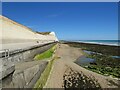 TQ3801 : Low tide at Saltdean by Malc McDonald