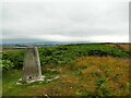  : Triangulation pillar on Eglingham Moor by Stephen Craven