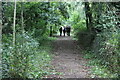 SO2200 : Path up from Llanhilleth Colliery Memorial by M J Roscoe