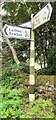 NY4731 : Finger signpost on east side of road at junction at north end of Newton Reigny by Roger Templeman