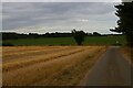 TM3142 : Lane from Ramsholt church dropping down to the junction by Christopher Hilton