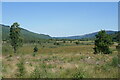 NN5305 : View towards the Black Water Marshes by James T M Towill