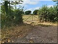 SY0296 : Metal Gate to a Field by John P Reeves