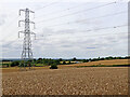 SJ8301 : Wheat field and pylon near Kingswood in Staffordshire by Roger  D Kidd