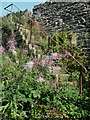 SE1026 : Steps on Halifax Footpath 371 at Leeds Road, Northowram by Humphrey Bolton