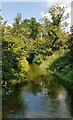 SU3327 : Mottisfont - View northwards along the River Test by Rob Farrow