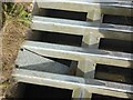 NY5736 : Hedgehog ramp in the cattle grid near Marian Lodge by Oliver Dixon