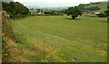 SX7264 : Field, Upper Dean by Derek Harper