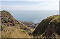 NO6946 : Cliff slopes in a gully showing varied vegetation cover, near Prail Castle by Andrew Diack