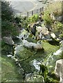 TR3864 : Cascade in Albion Place Gardens, Ramsgate  1 by Alan Murray-Rust