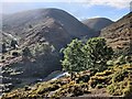 SO4494 : Carding Mill Valley on the Long Mynd by Mat Fascione