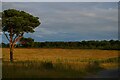 TM4058 : Looking south off the Sailors' Path, Snape Warren by Christopher Hilton