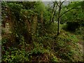 SE1223 : Brighouse Footpath 48/1 passing the ruins of South Holme Farm, Southowram by Humphrey Bolton