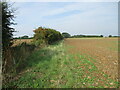 TA3322 : Field  edge  footpath  on  the  Holderness  Plain by Martin Dawes