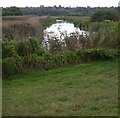 TM0933 : River Stour from the Stour Valley Walk by Christopher Hilton