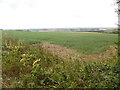 SE8153 : View of the Yorkshire Wolds from Great Givendale by David Hillas