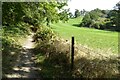 SO7241 : Footpath beside Berrington Wood by Philip Halling