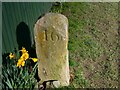 SD5279 : Old Milestone Marker 11-46 F (between bridges 151-150), Lancaster Canal by Cactus Chris