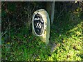 SD5044 : Old Milestone Marker 41-16 F (between bridges 56-55), Lancaster Canal by Cactus Chris