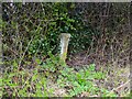 SD4935 : Old Milestone Marker 48-09 F (between bridges 35-34), Lancaster Canal by Cactus Chris