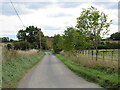 TL3431 : Throcking Lane near Buntingford by Malc McDonald