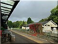 SH7956 : Autumn is here at Betws-y-Coed by Richard Hoare