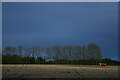 TM3965 : Looking up to the railway line from Butchers Road, at nightfall by Christopher Hilton