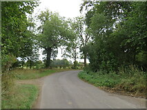  : Westmill Road near Buntingford by Malc McDonald