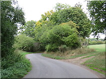  : Westmill Road near Buntingford by Malc McDonald