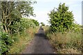 NZ9307 : The Cinder Track near Hawsker Bottoms by Jeff Buck