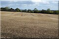 SP1757 : Arable field by Philip Halling