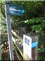 SU7083 : Bridleway Signpost and Bluebells Notice at Satwell by David Hillas